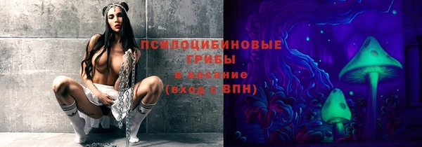Альфа ПВП Гусь-Хрустальный