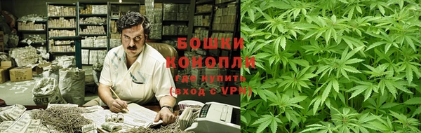 мяу мяу кристалл Кущёвская