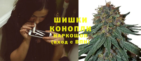 PSILOCYBIN Иноземцево