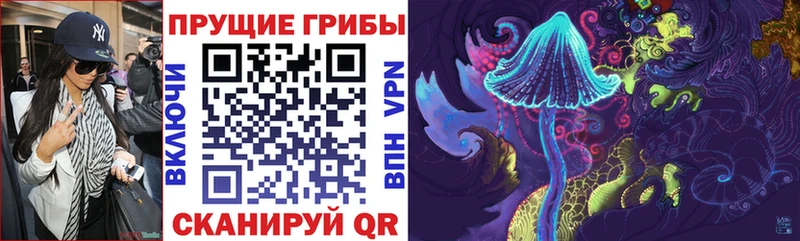 Галлюциногенные грибы мицелий Алдан